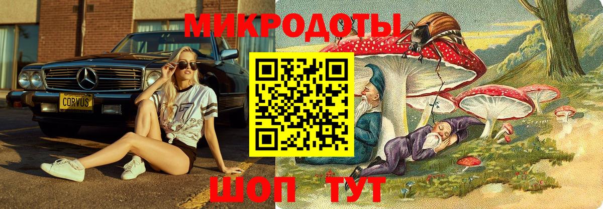 Галлюциногенные грибы Magic Shrooms  Вход с VPN  Псков  Псилоцибиновые грибы Cubensis 