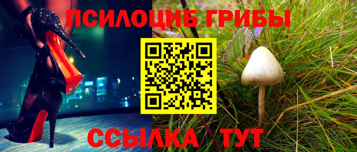 Псилоцибиновые грибы прущие грибы Псков